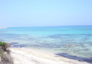 villaggi carovigno, villaggi turistici carovigno, carovigno mare, offerte villaggi carovigno, villaggi, carovigno, carovigno villaggi turistici, turistici villaggi carovigno, mare, offerte, puglaidestinatione