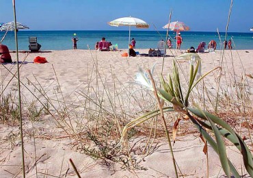 villaggi santa maria di leuca, santa maria di leuca villaggi, offerte villaggi santa maria di leuca, villaggi santa maria di leuca offerte, villaggi, santa, maria, leuca, offerte, pugliadestination
